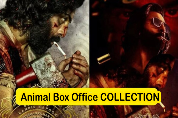 Animal Box Office Collection Day 16