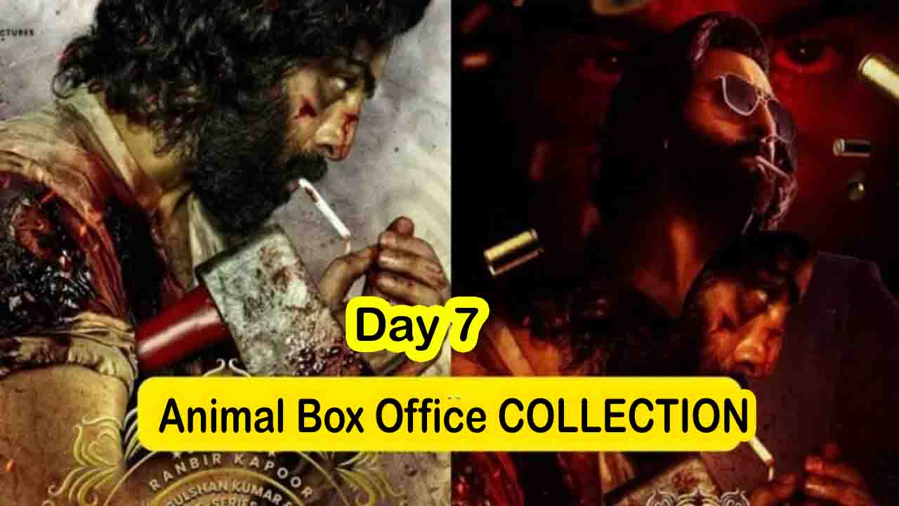 Animal Box Office Collection Day 15