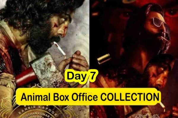 Animal Box Office Collection Day 12